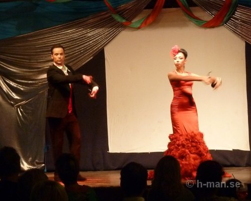 flamenco