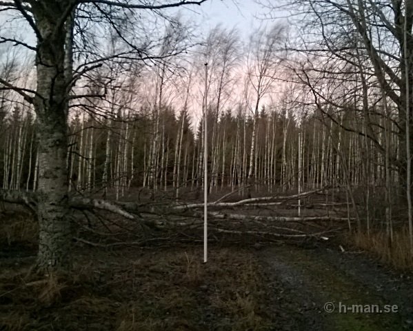 infart
