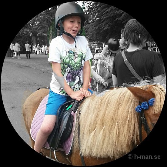 ridtur