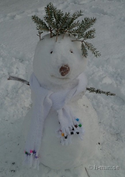 snogubbe