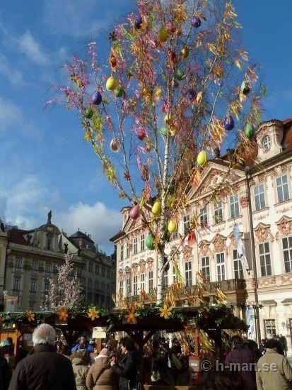 torg_prag