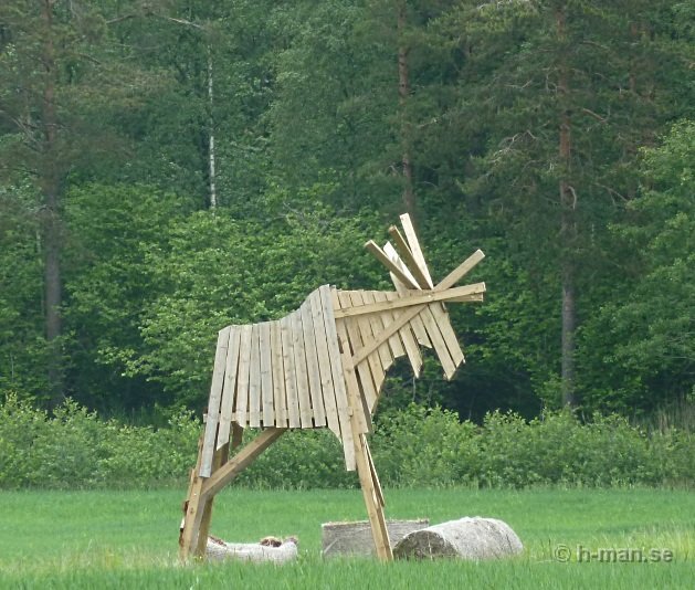 älg