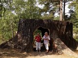 784_stubbe.jpg