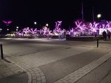 838_torget.jpg