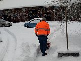 842_arne_skottar.jpg