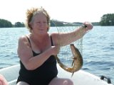 Fiskelycka_130707.JPG