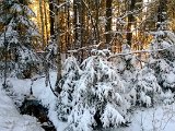 WP_20131207_002.jpg