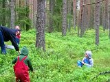 blabarskogen.jpg