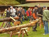 dammtorp2.jpg