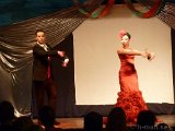 flamenco.jpg
