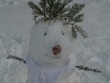 snogubbe.jpg