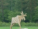 älg.jpg