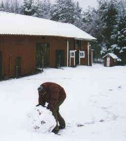snoboll